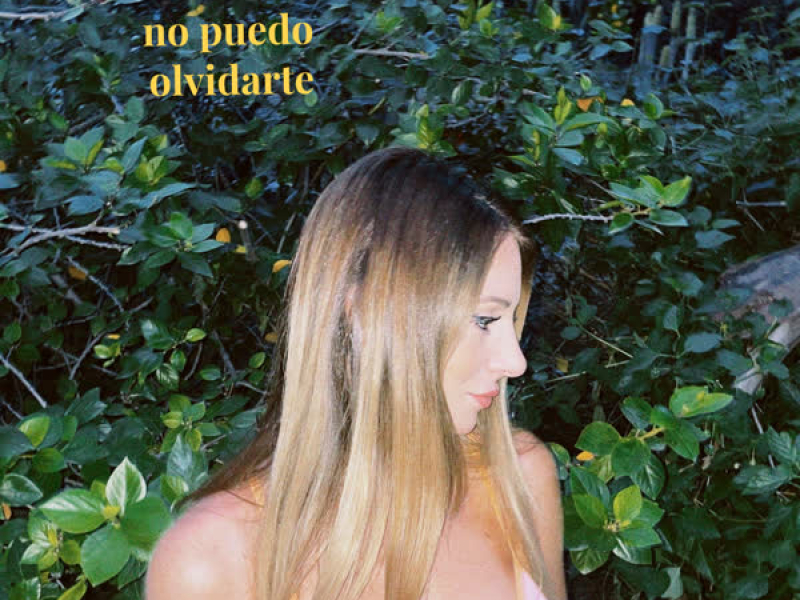 No Puedo Olvidarte (Single)