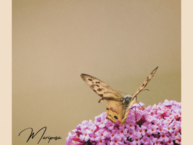 Mariposa (Single)