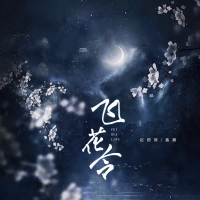 飞花令 (DJ筱轩) (Single)