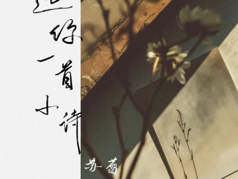 送你一首小诗 (Single)