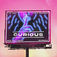 Curious (Remix) [feat. Lil' Kim & Lola Brooke] (Single)