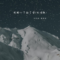 我的心下起了雪 (说唱版) (Single)