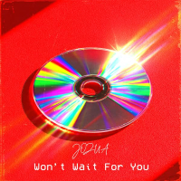 Won't Wait For You (Radio Edit) (Single)