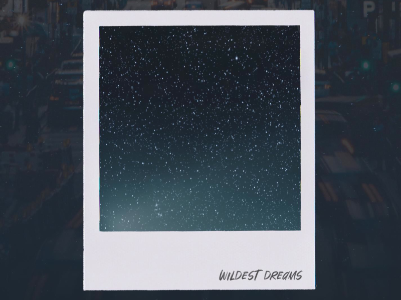 Wildest Dreams (Single)