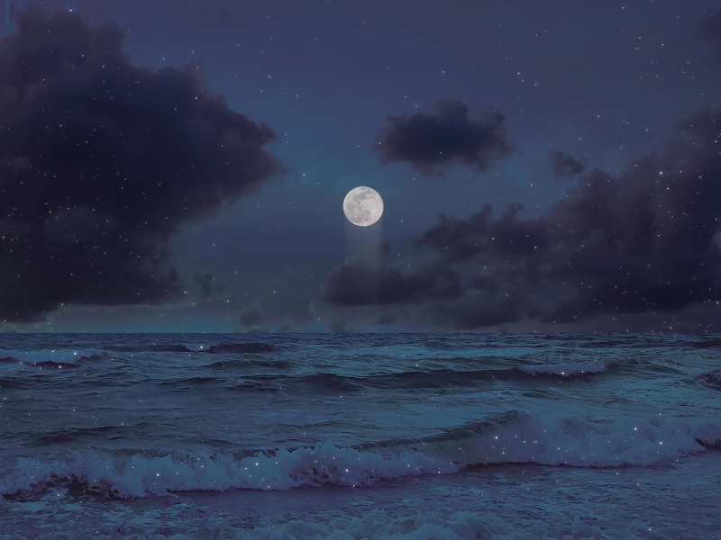 Boulevard of Broken Dreams (Sped Up) (feat. Syrex, EQRIC, HAYASA G & Ceara Cavalieri) (Single)