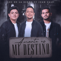 Amarte Es Mi Destino (Single)