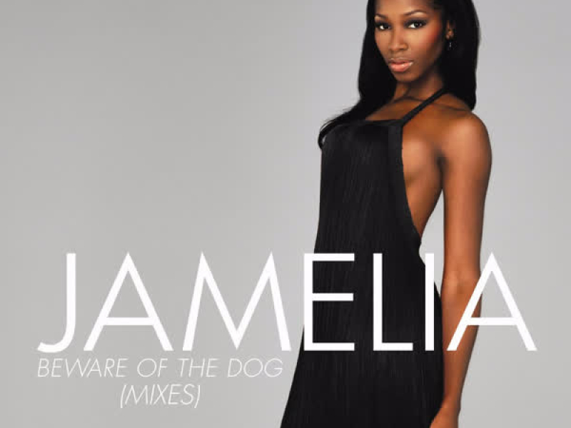 Beware of the Dog (Mixes)