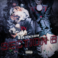 Section 8 (EP)