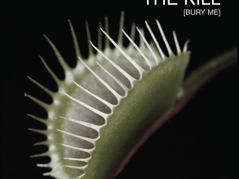 The Kill (Single)