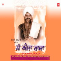 So Aisa Raja Vol-56 (Single)