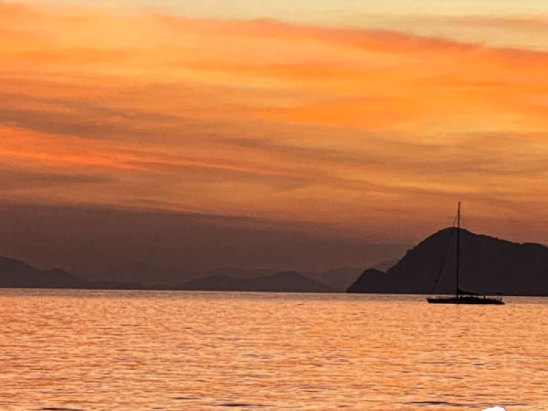 Playing with Fire (Single)