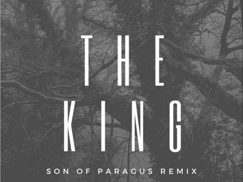 The King (Son of Paragus Remix) (Single)