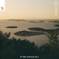 If We Could Fly (Single)