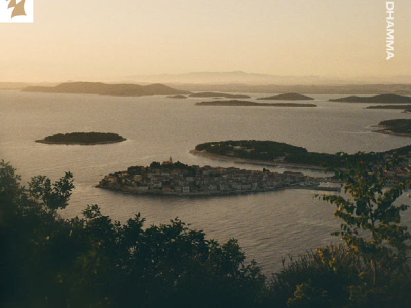 If We Could Fly (Single)