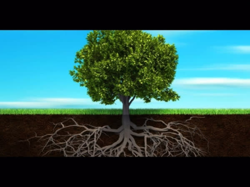 Efialtika Oneirika (Single)