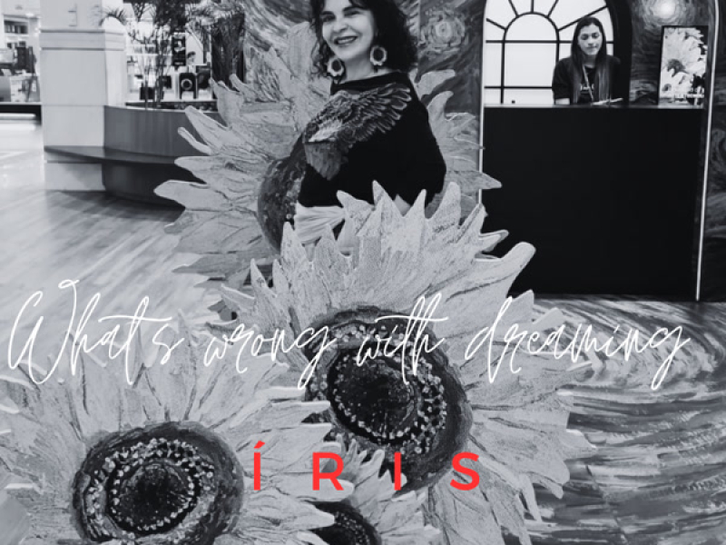 What's wrong with dreaming (Single)