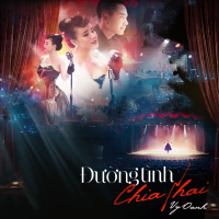 Đường Tình Chia Hai (Single)