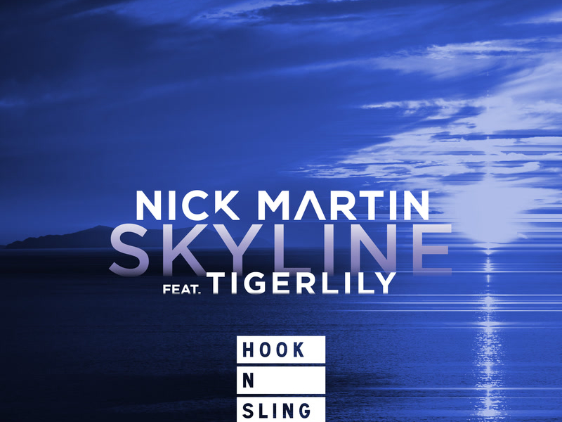 Skyline (Hook N Sling Remix) (Single)