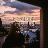 我知道你可能听不到这一段话 (Single)