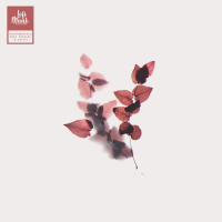 Little Leaf (Single)
