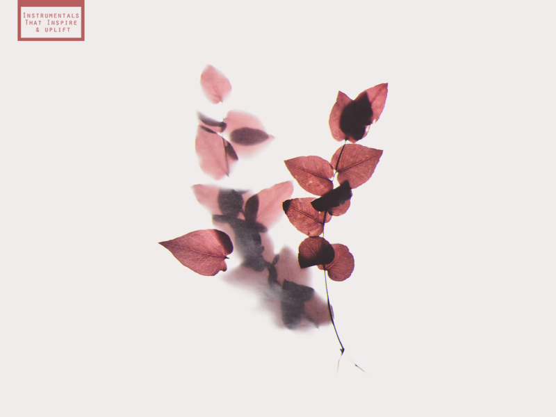 Little Leaf (Single)