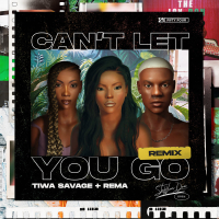 Can't Let You Go (Remix) (Single)