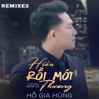 Hiểu Rồi Mới Thương (Remixes) (EP)