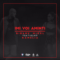 Imi voi aminti (Single)