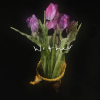 Wither (Single)