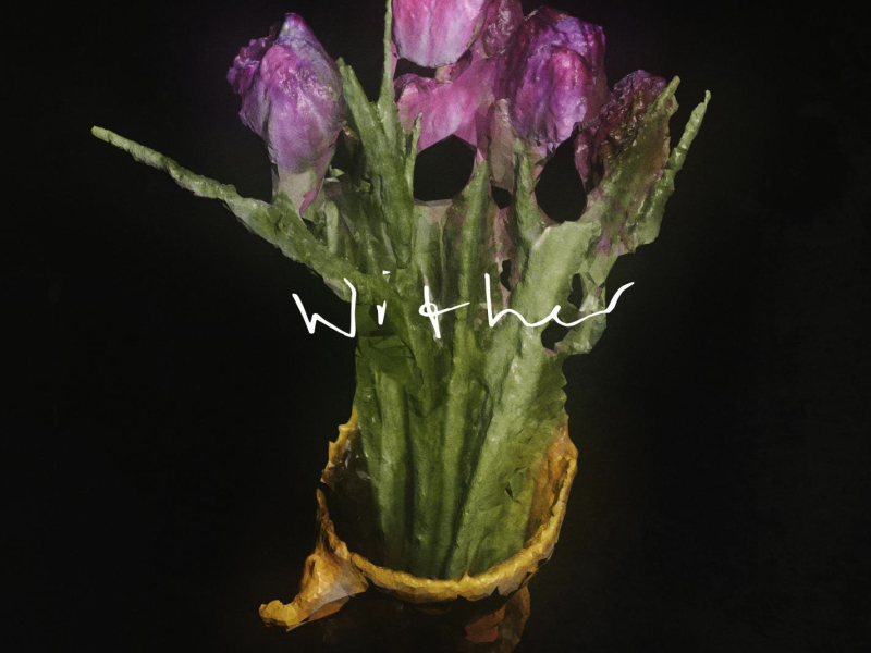 Wither (Single)