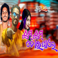 Chham Chham Tor Payal (Single)