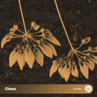 Chaos (Single)