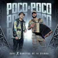 Poco A Poco (Single)