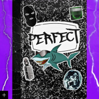 Perfect (Single)