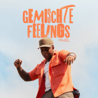 Gemischte Feelings (Single)