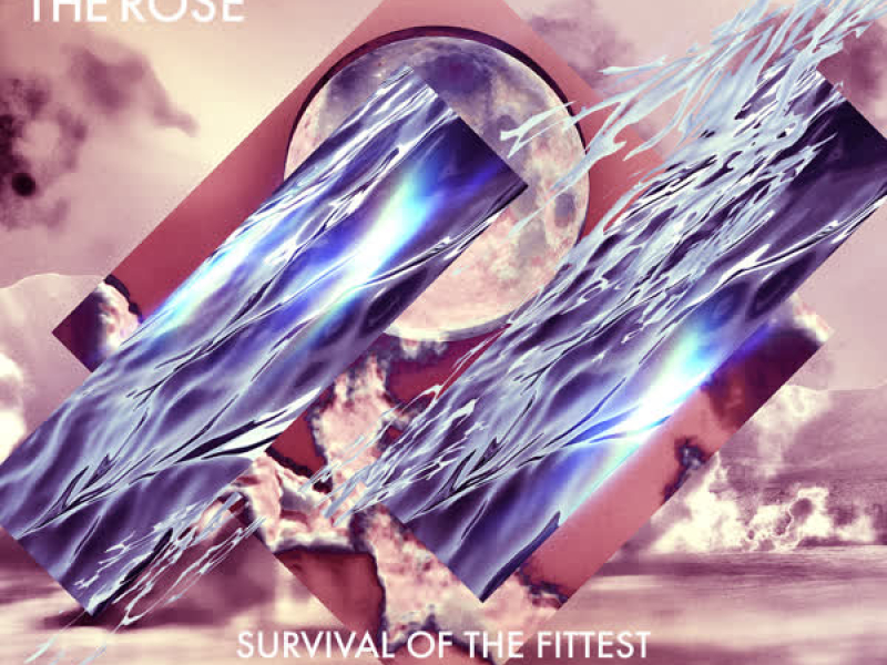 Survival of the Fittest / Dirty Dancing (Remixes) (EP)