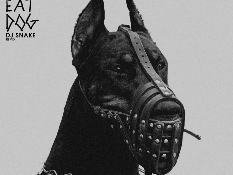 Dog Eat Dog (DJ Snake Remix) (Single)