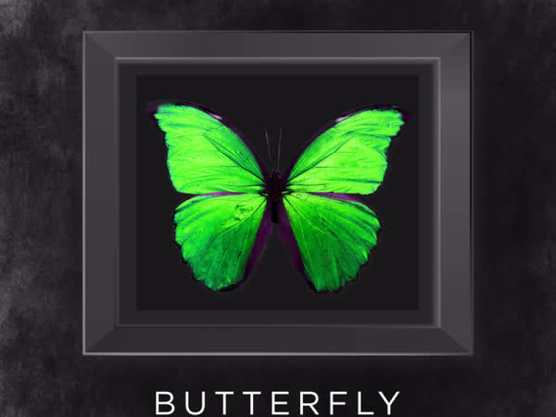 Butterfly (Single)