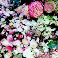 果てしない空の下で (Single)