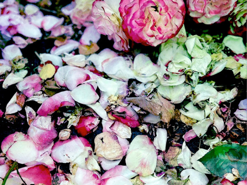 果てしない空の下で (Single)