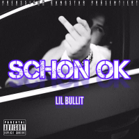 Schon OK (Single)