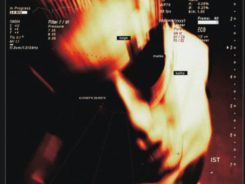 Markakalite (Single)