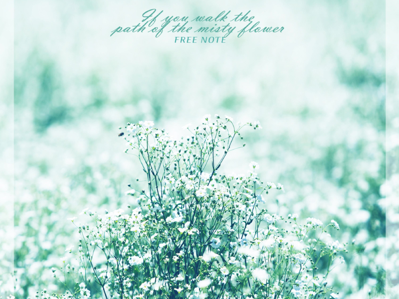 If You Walk The Path Of The Misty Flower (Single)