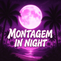 MONTAGEM IN NIGHT (EP)