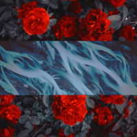 Belong Here (Single)