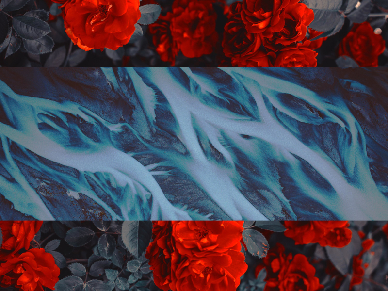 Belong Here (Single)