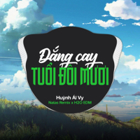 Đắng Cay Tuổi Đôi Mươi (EDM) (Single)