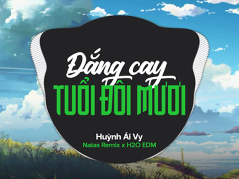 Đắng Cay Tuổi Đôi Mươi (EDM) (Single)