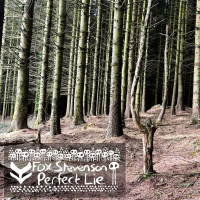 Perfect Lie (Single)