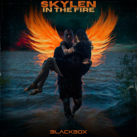 In The Fire (Single)